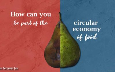 Food Waste: How to Be Part of the Circular Economy of Food