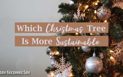 Which Is the Most Sustainable Christmas Tree?