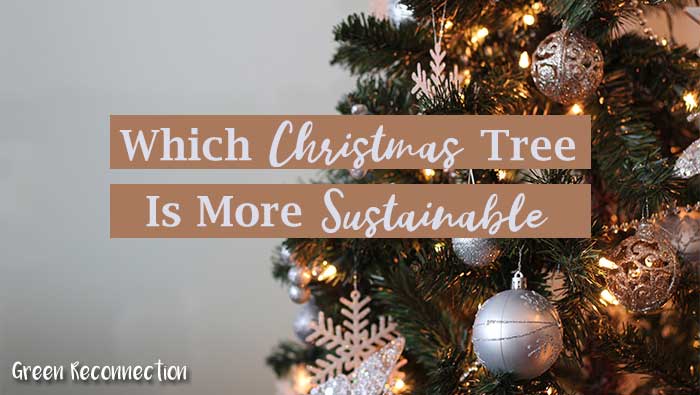 Which Is the Most Sustainable Christmas Tree?