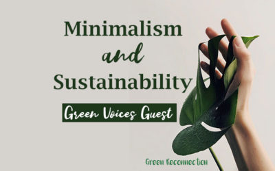 How Minimalism and Sustainability Are Related