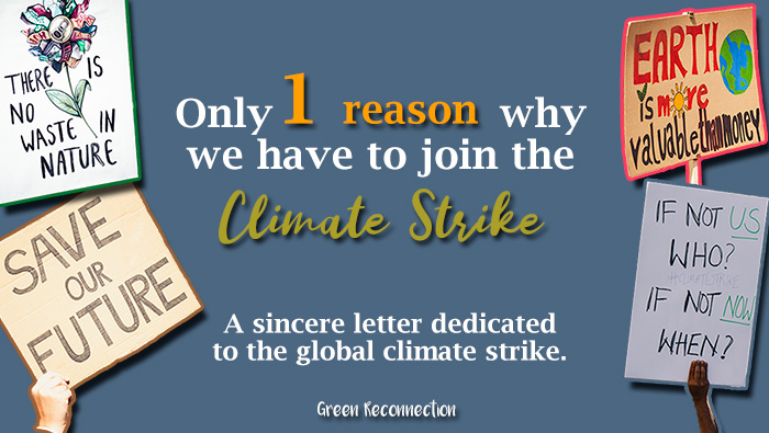 Only One Reason Why We Have To Join The Climate Strike